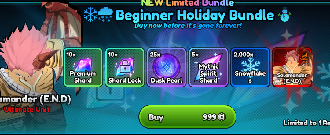 Beginner Holiday Bundle